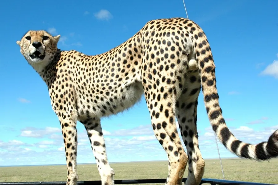 Safaripark Beekse Bergen
