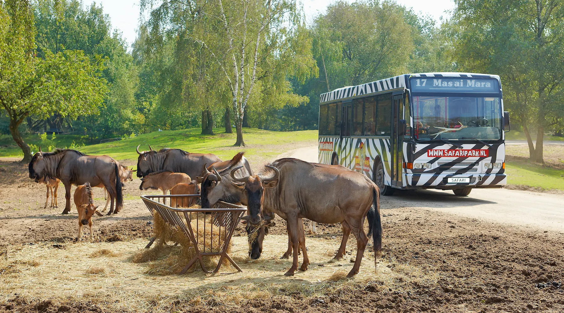 Beekse Bergen
