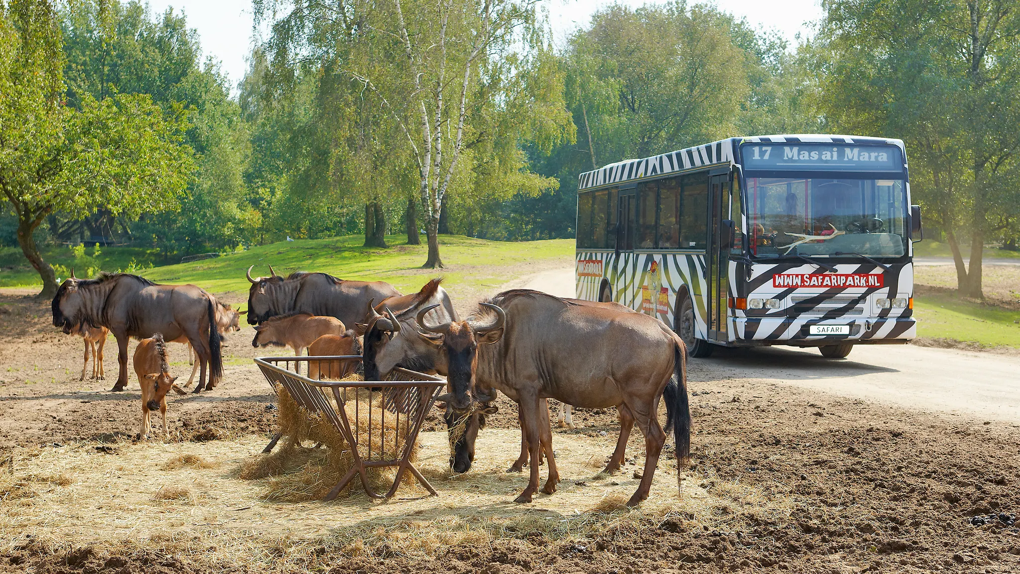 Beekse Bergen