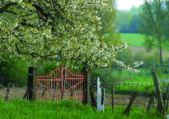 offre de printemps pays bas