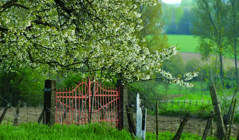 spring offer netherlands