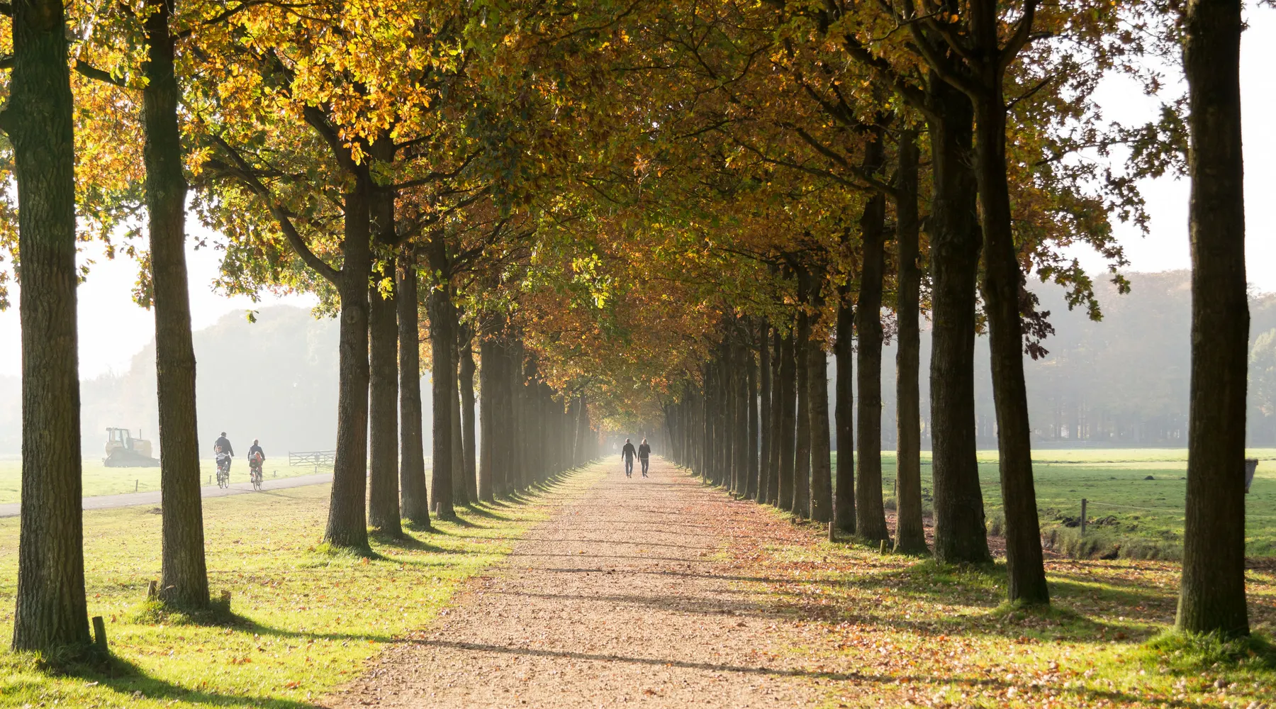 Herbst
