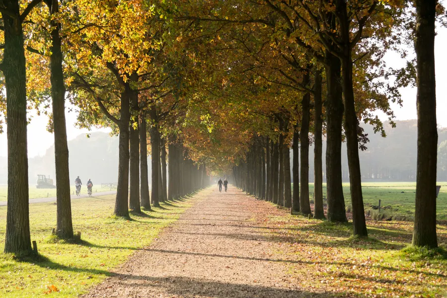 Herbst