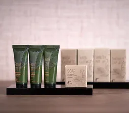 luxury amenities
