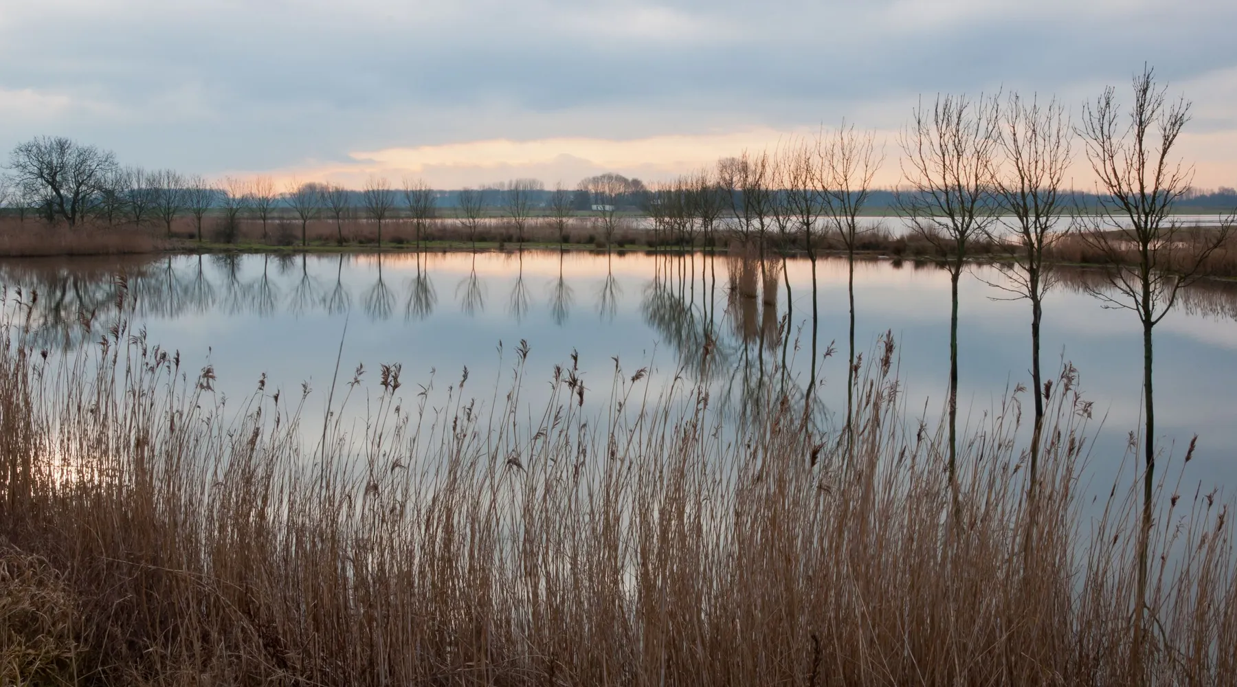 Biesbosch