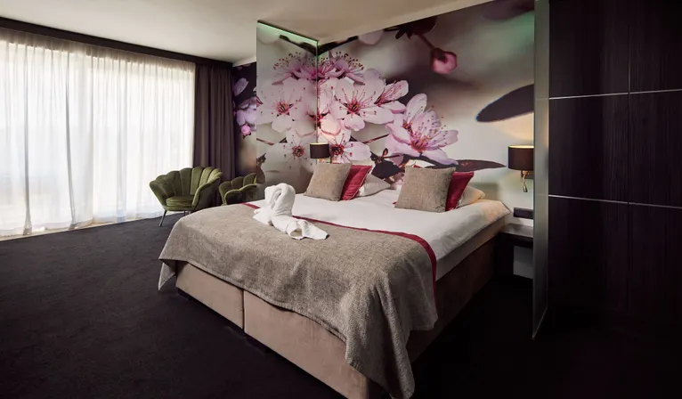 Suite 110 Van der Valk hotel Nuland - 's-Hertogenbosch