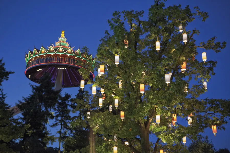 Magisch verlichte bomen in de avond, representatief voor winterse uitjes zoals de Winter Efteling.