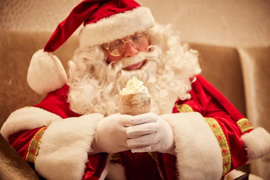 Portret van de vrolijke Kerstman als sfeerbeeld voor de feestdagen.