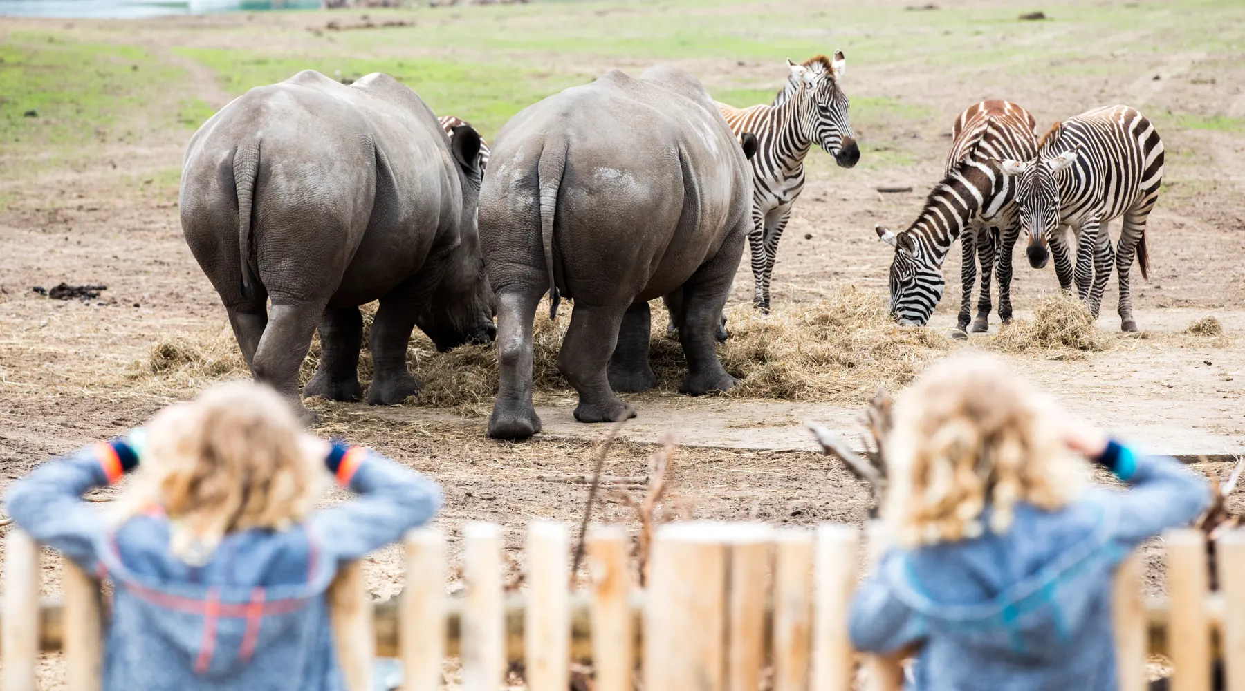Safaripark Beekse Bergen