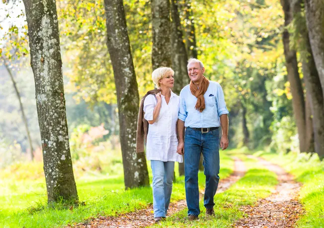 Wandelen in Den Bosch
