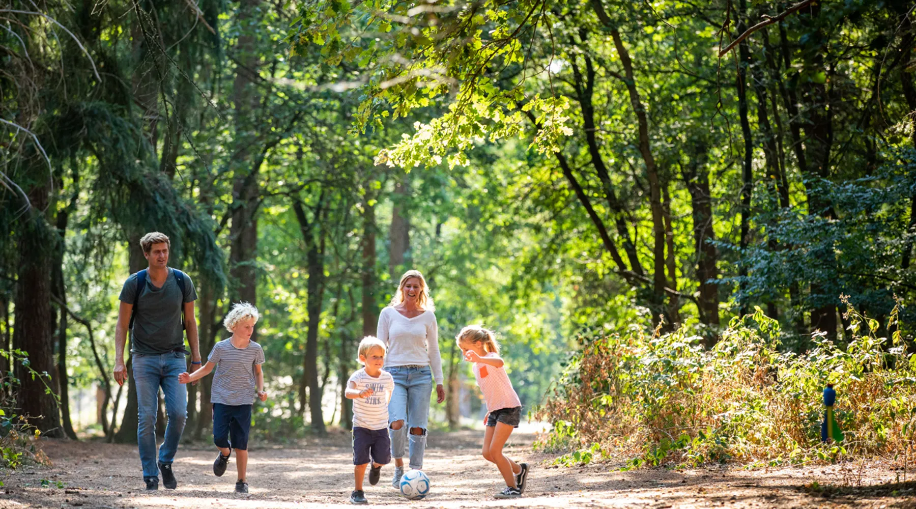 Wandelen in Brabant