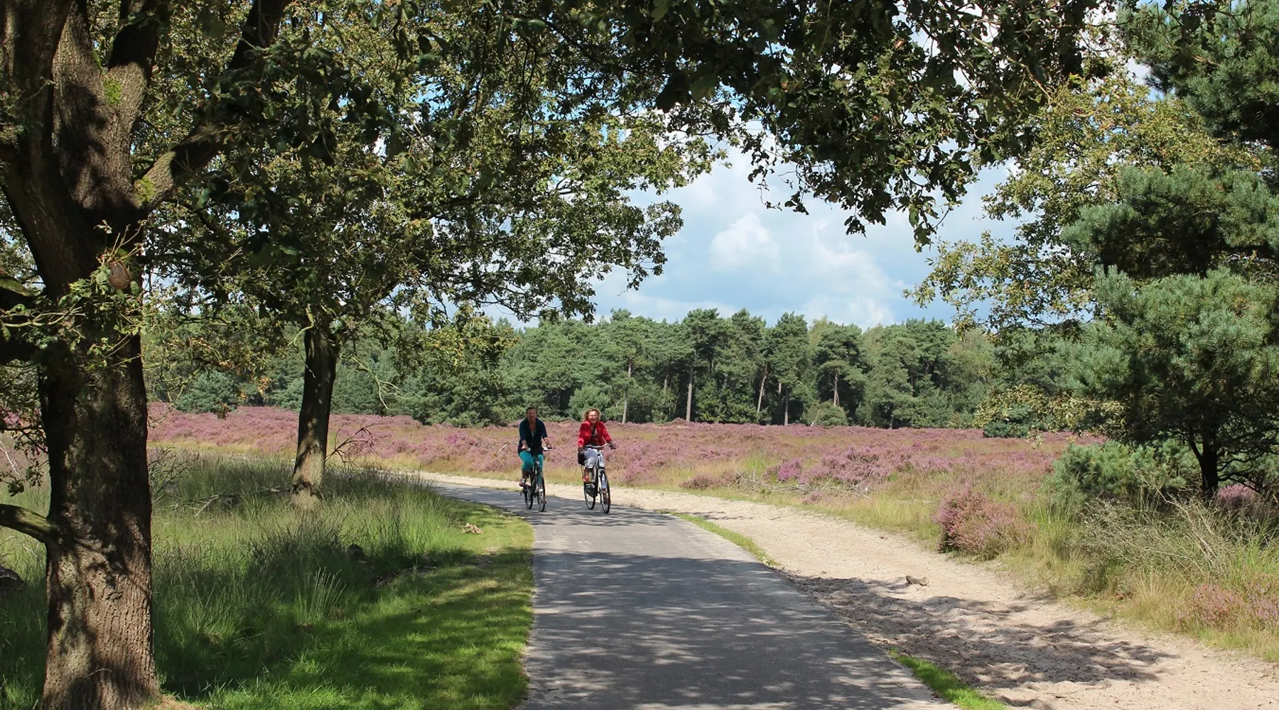 Wandelen en fietsen