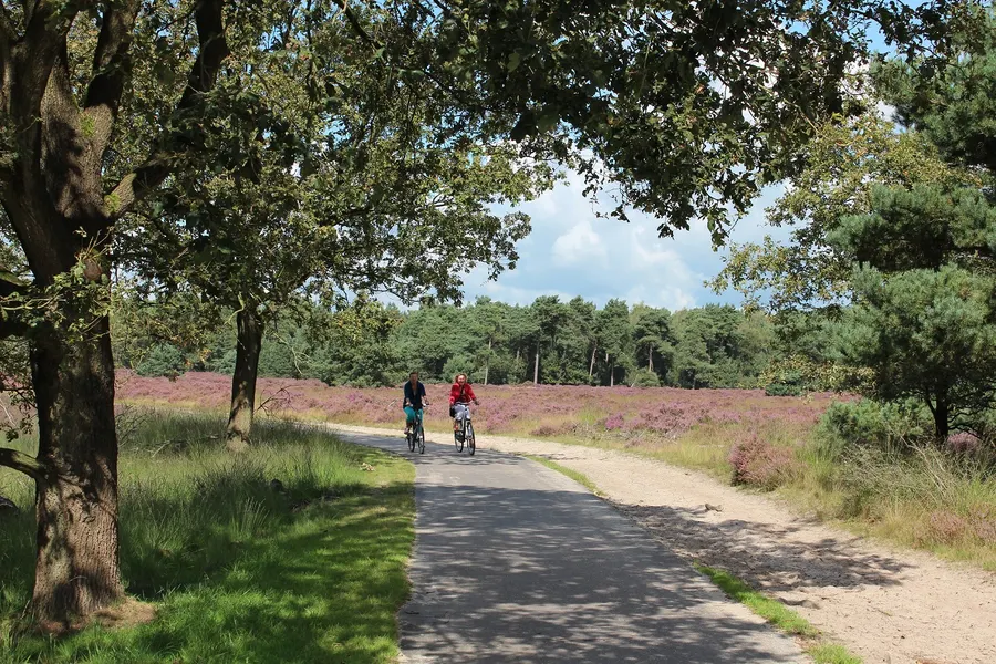 Wandern und Radfahren