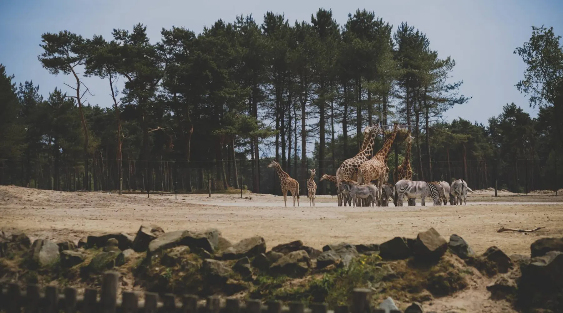 Safaripark
