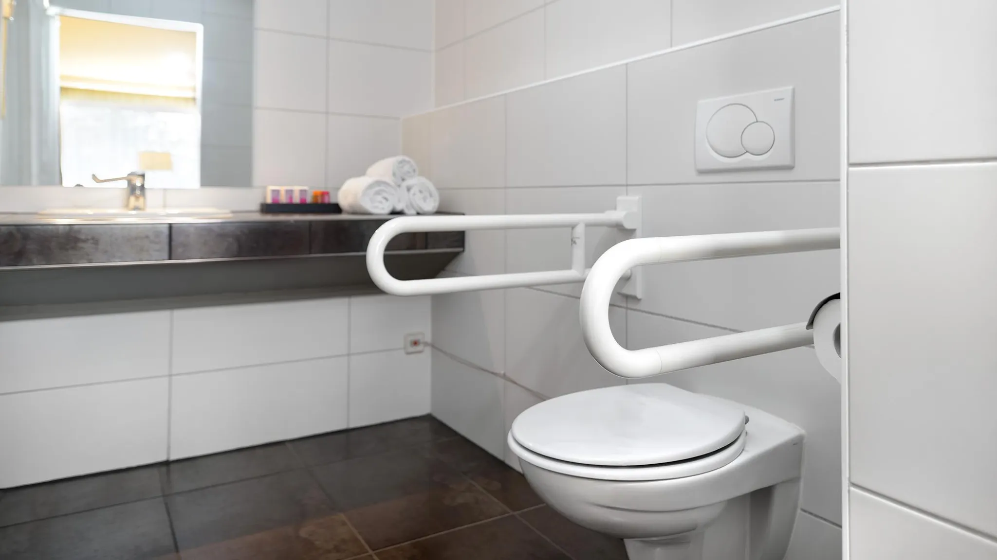Special needs toilet