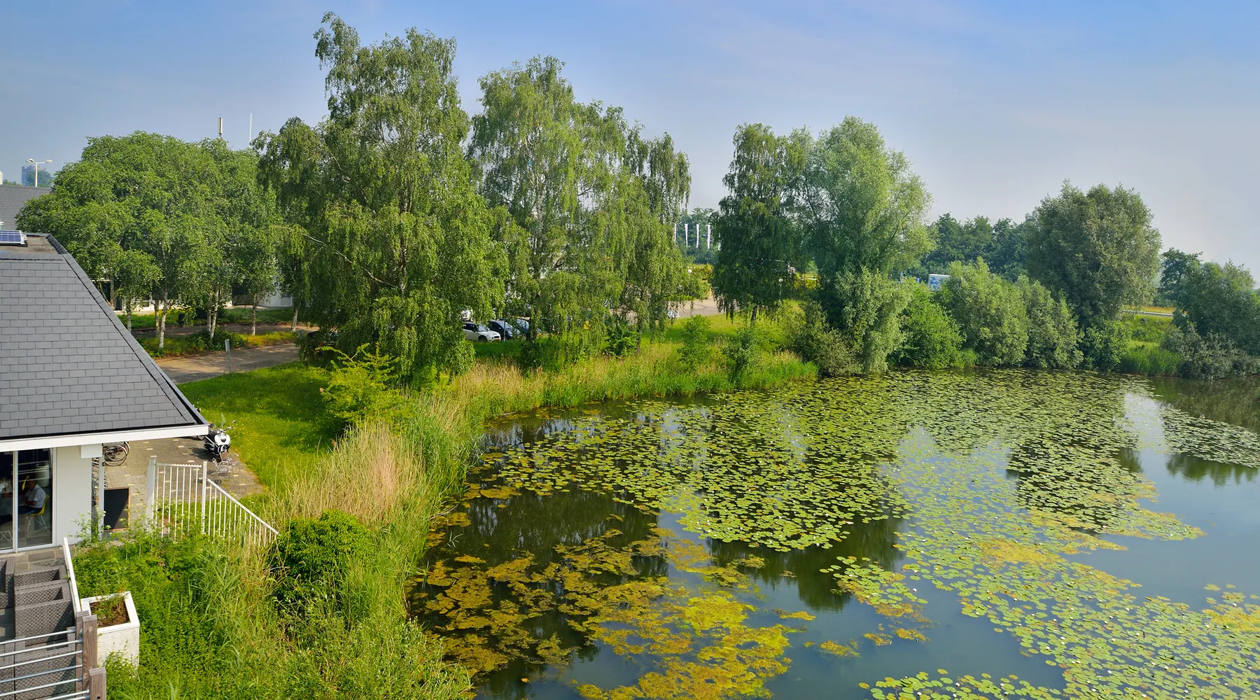 Heun teich