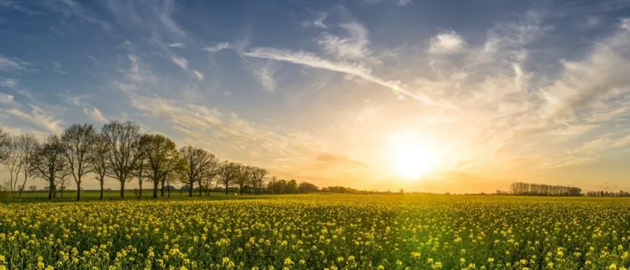 Natuur