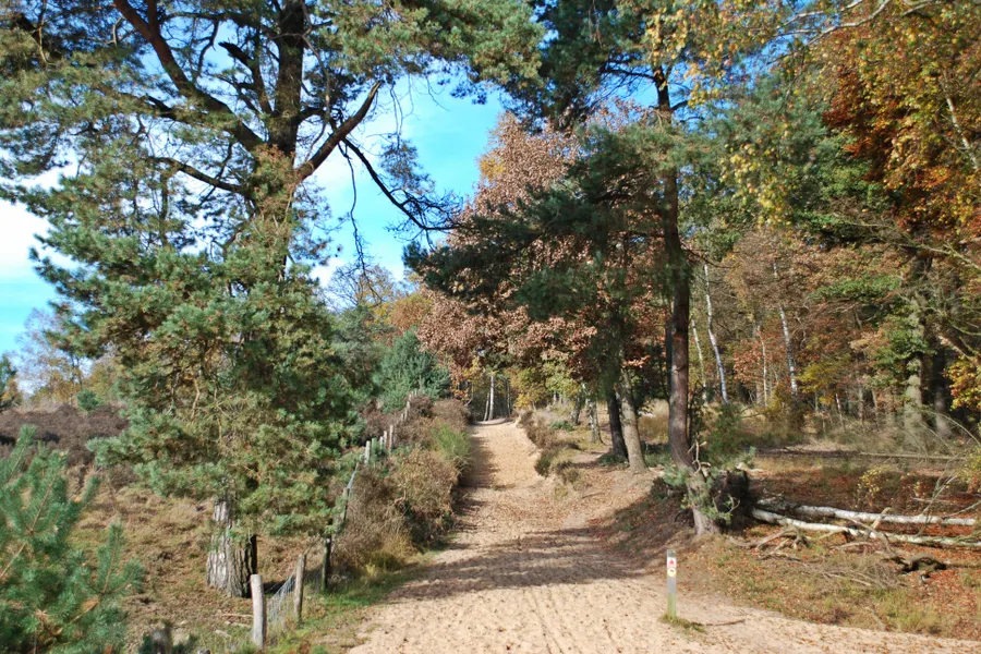 Mookerheide