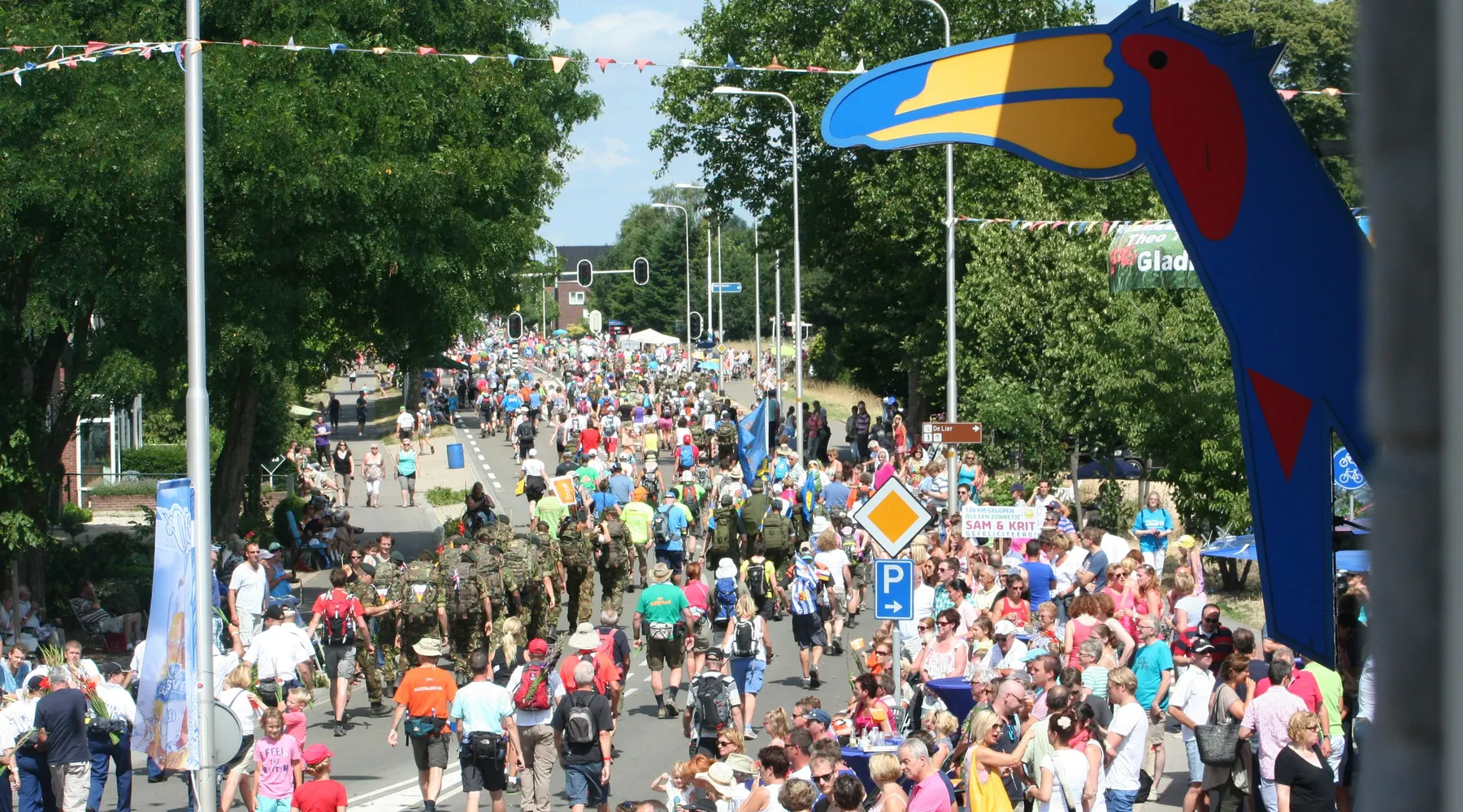 Four Days Marches 2026 Molenhoek