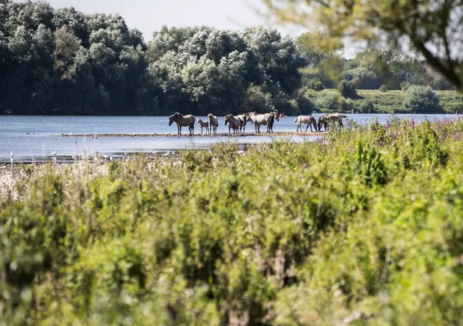 Zuid-Limburg@VVV Zuid-Limburg
