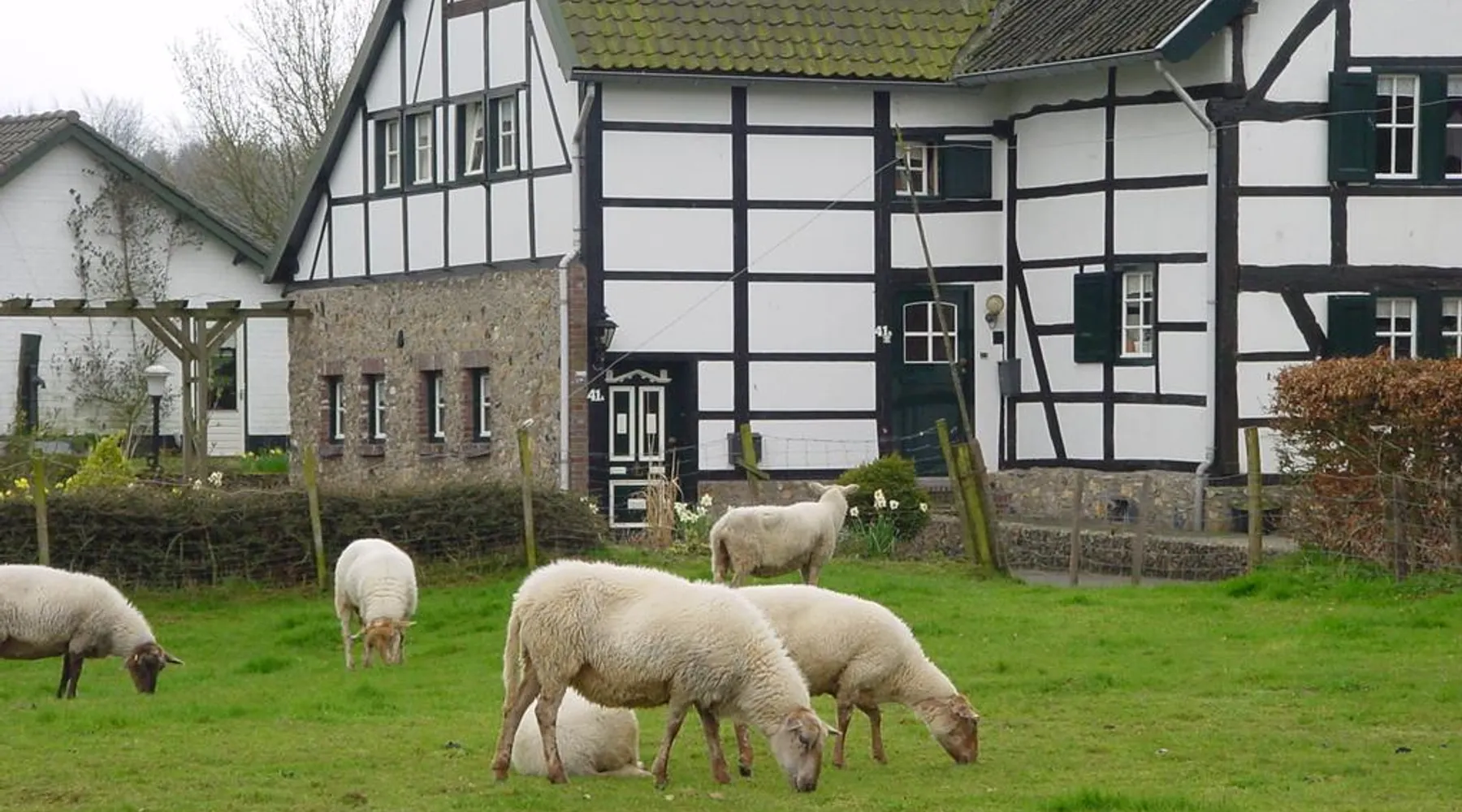 Wandelen heuvelland vakantie voorjaar van der valk