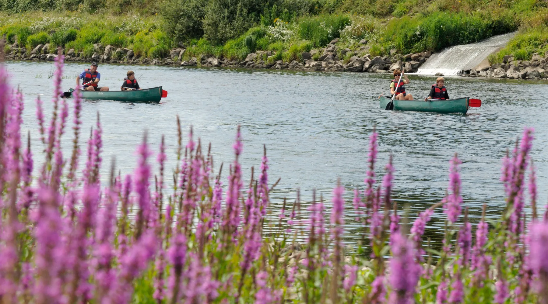 Wandelen heuvelland vakantie voorjaar van der valk