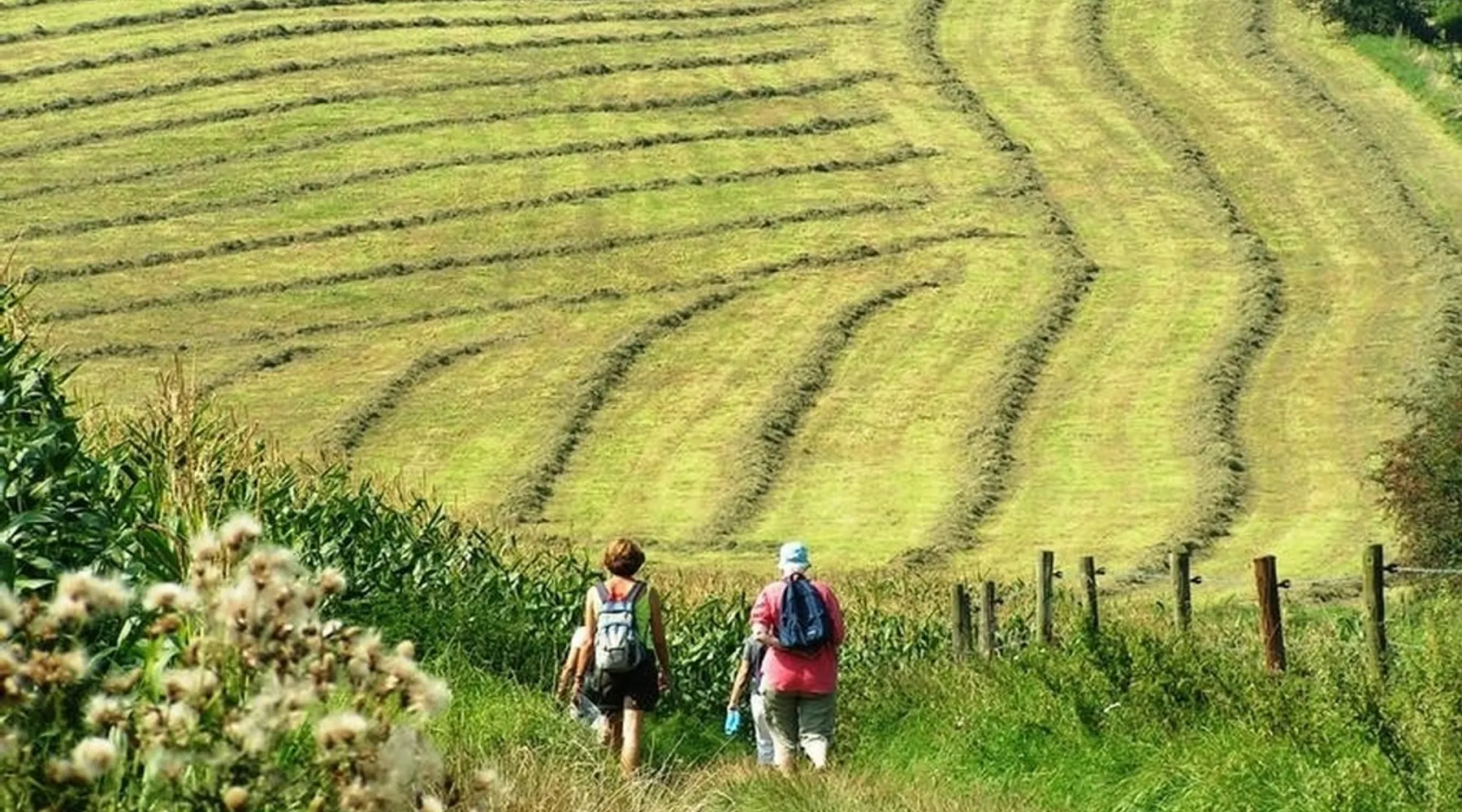 Wandelen heuvelland vakantie zomerdeal zomer vakantie