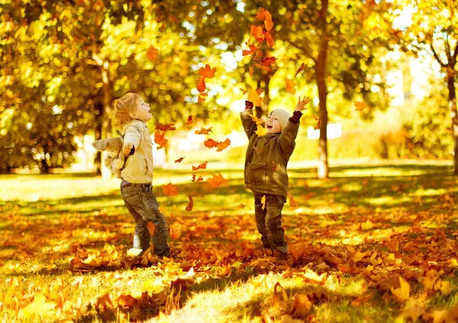 Wandelen heuvelland vakantie herfst najaar