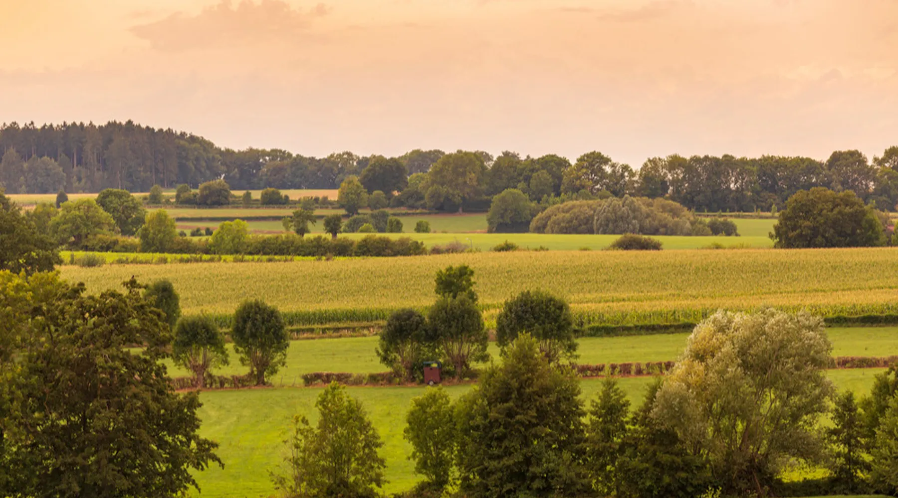 Limburgse Natuur