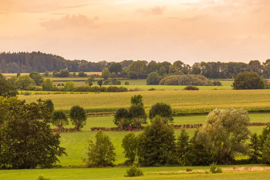 Limburgse Natuur