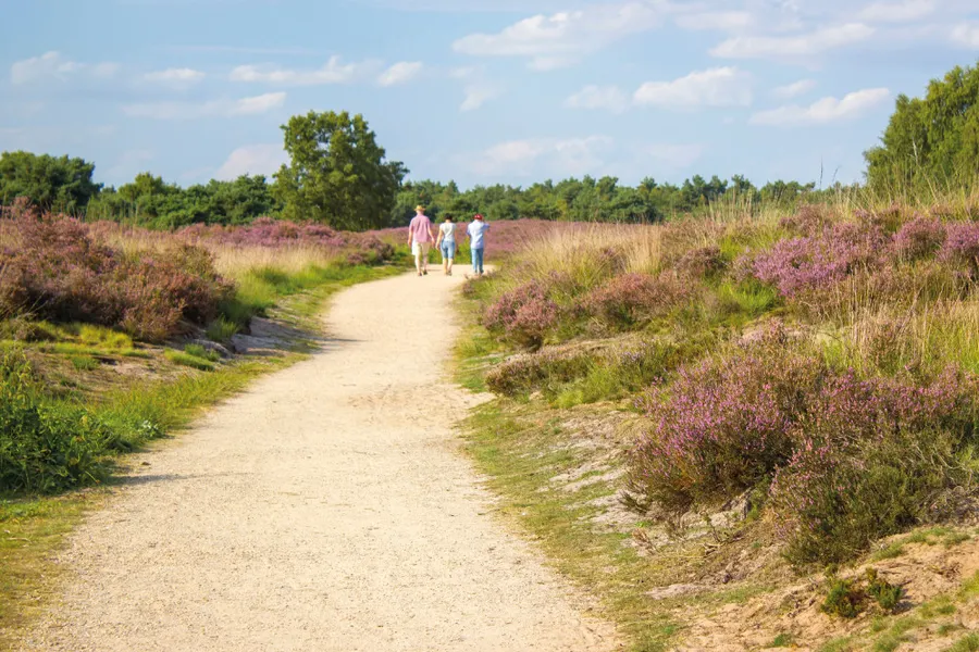 Maasduinen Limburg