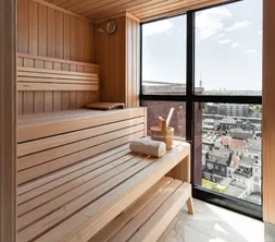 Penthouse Sauna Suite