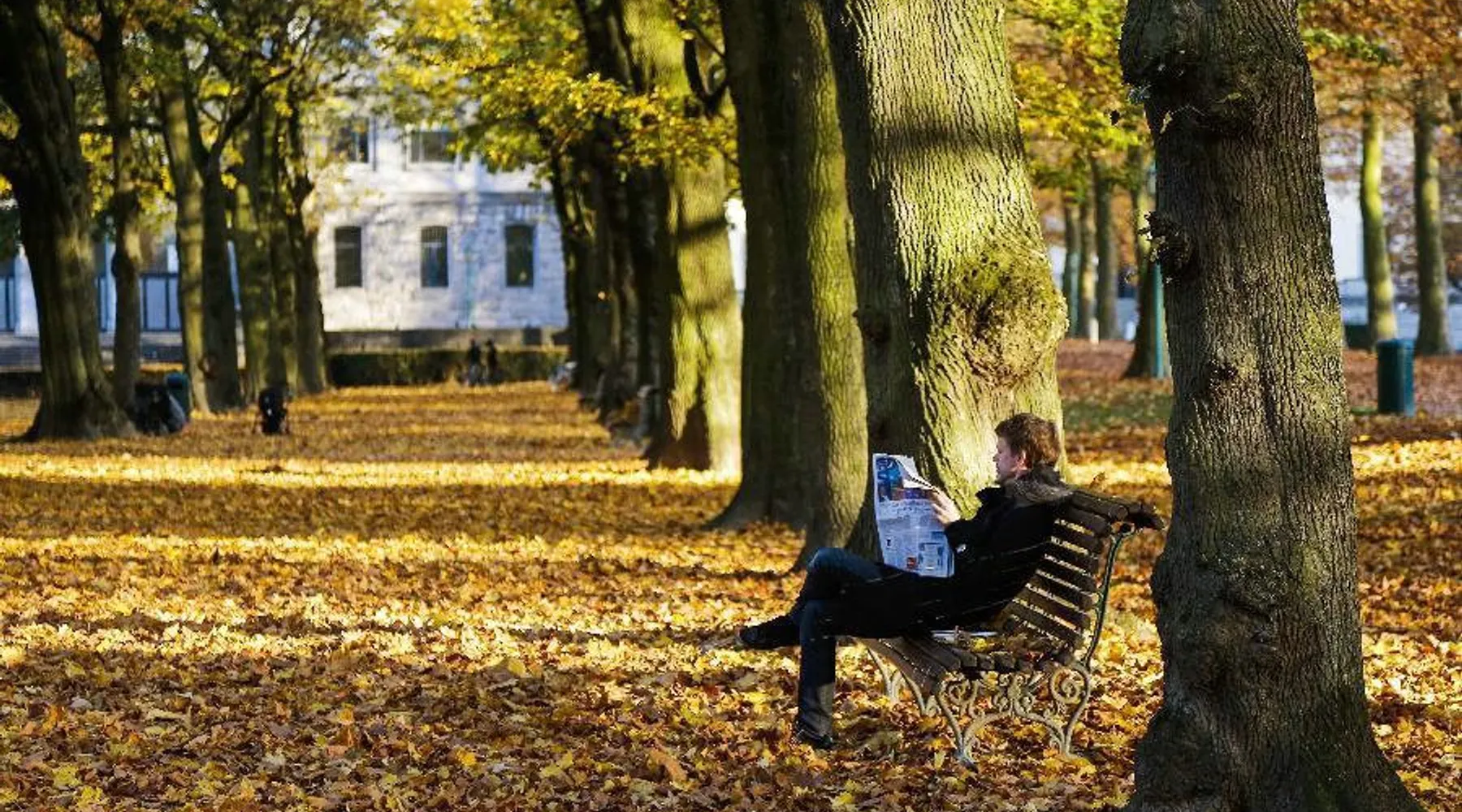 Autumn in Brussels