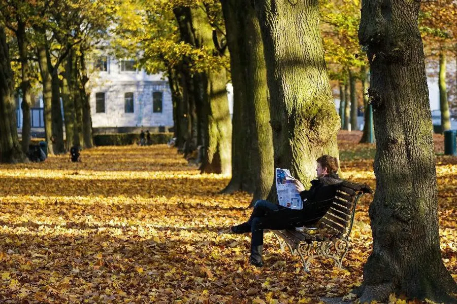 Autumn in Brussels