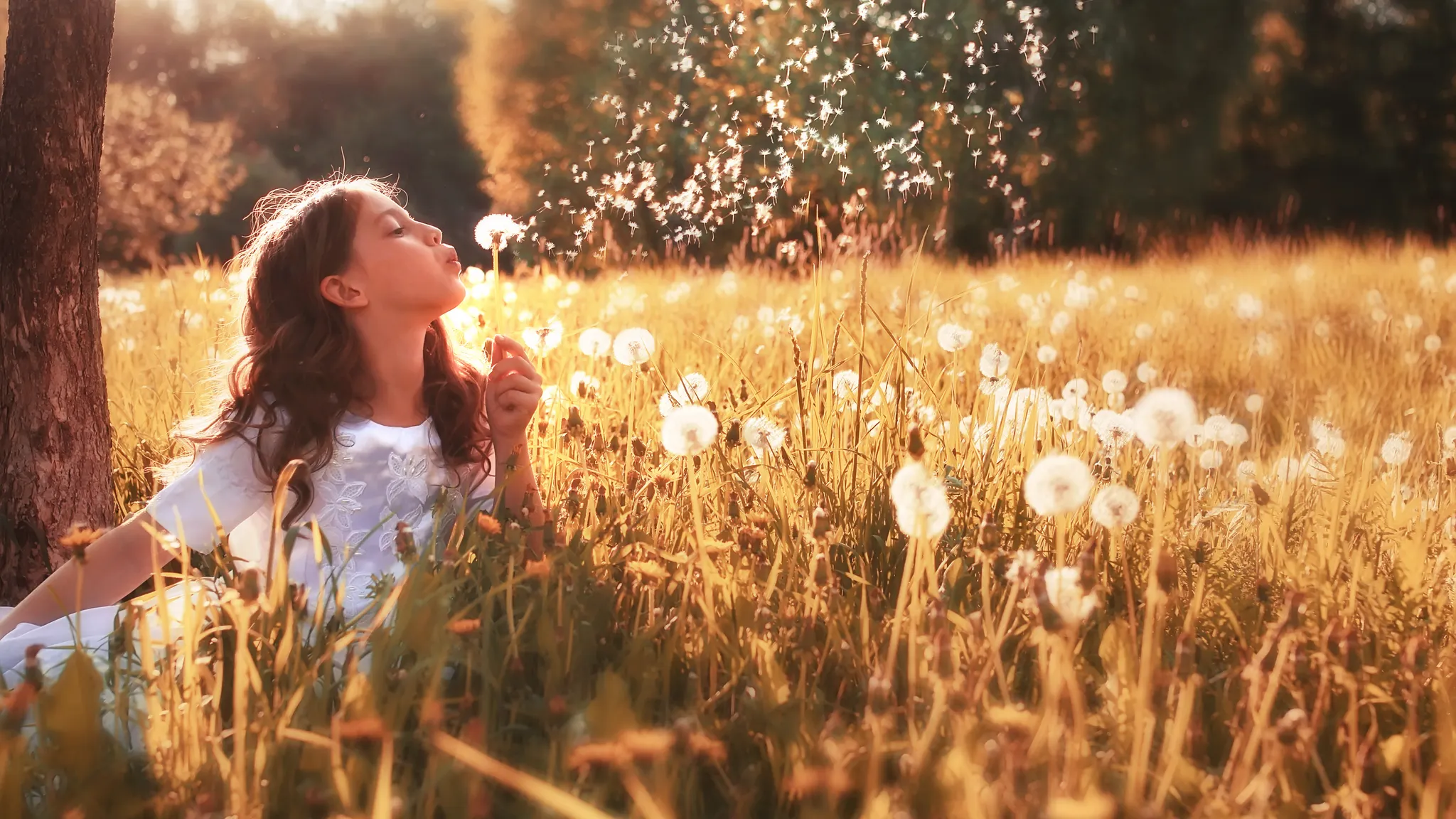 Summer