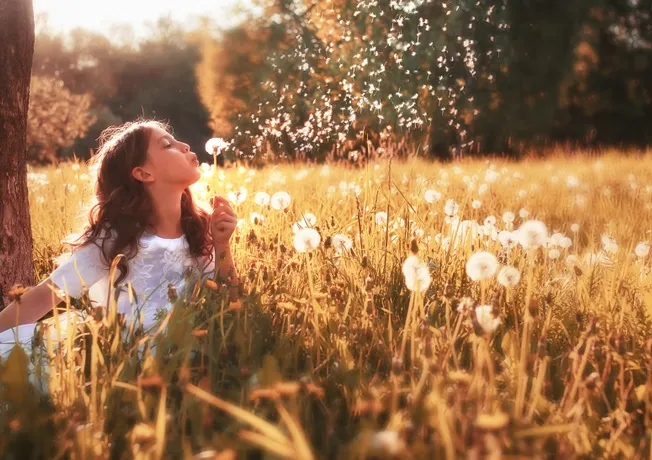 Sommer