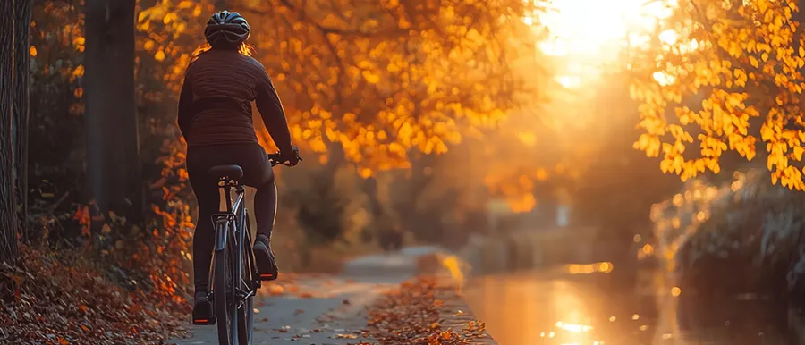 Fahrrad im Park