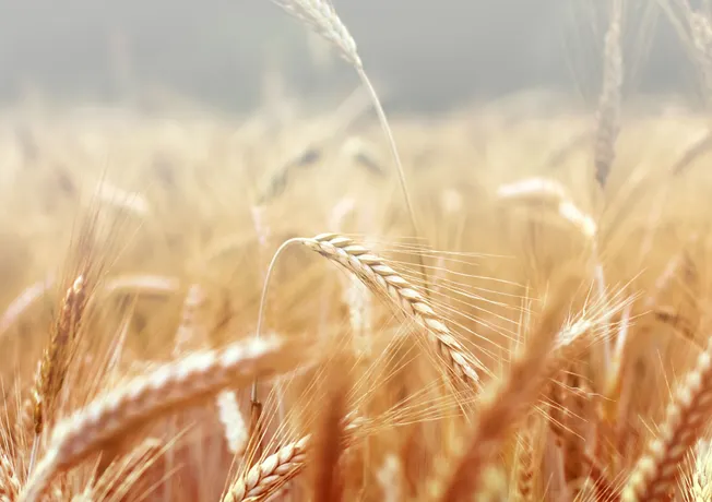 Pfingsten in Hotel Moers