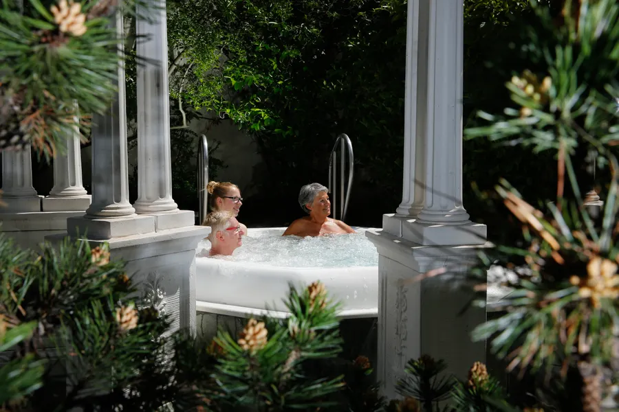 Wellnessarrangement