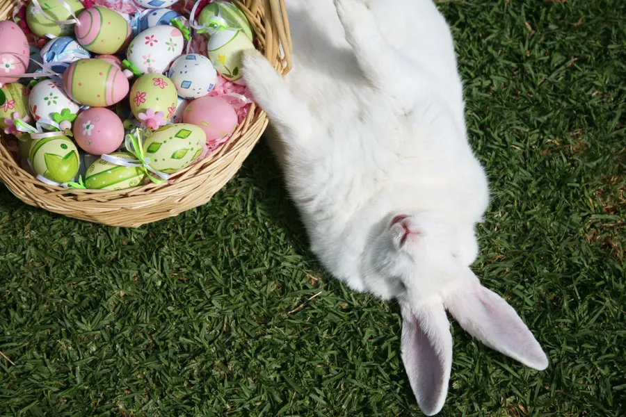 Ostern