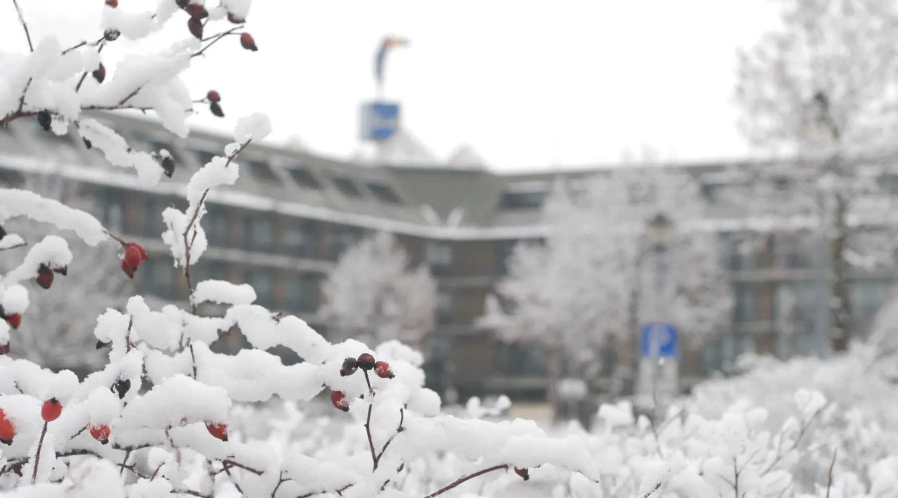 Winter package