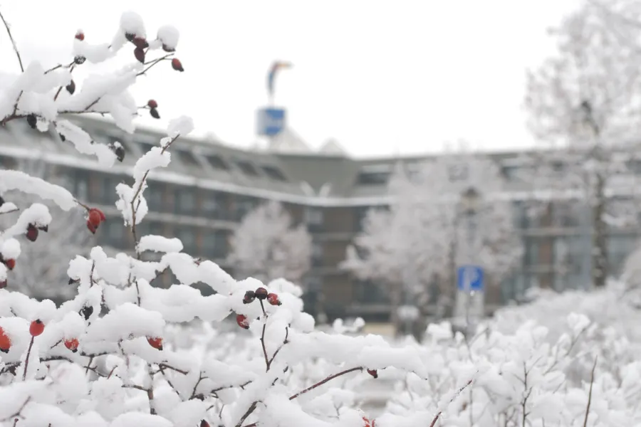 Winter package