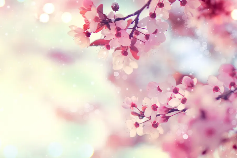 Frühling