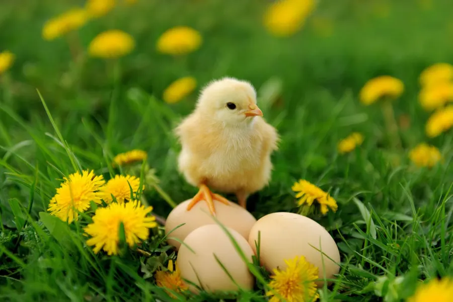 Ostern