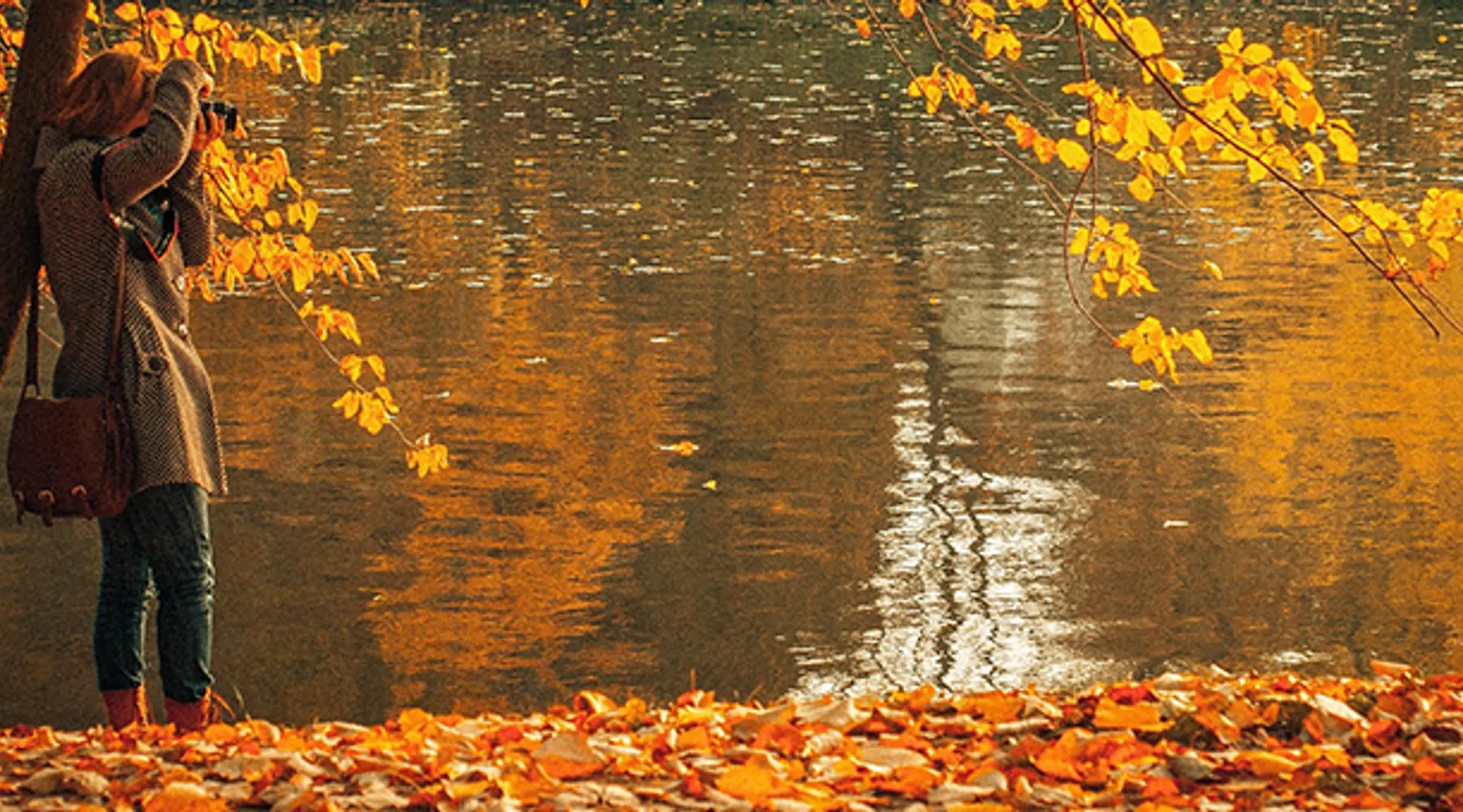 Herfst