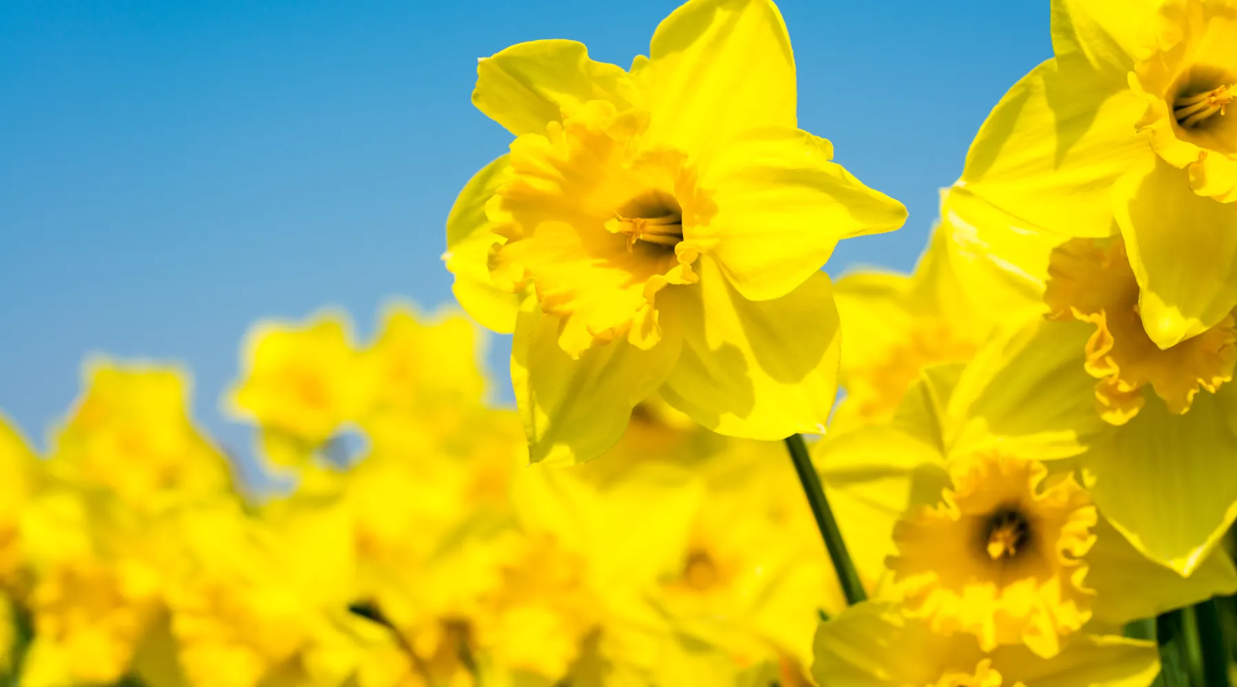 Ostern