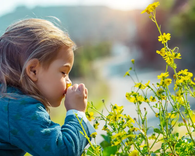 Frühling in Hotel Gladbeck