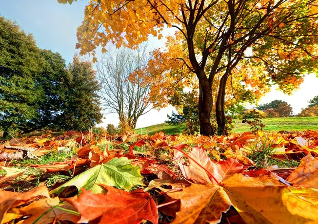 Herfstvakantie in Hotel Gladbeck