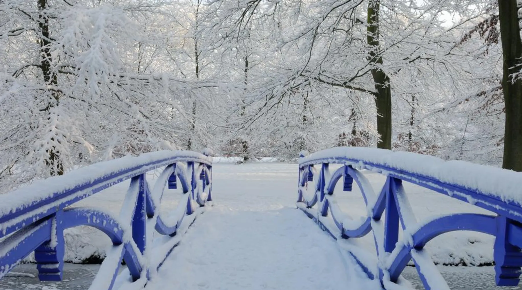 Warm Winter