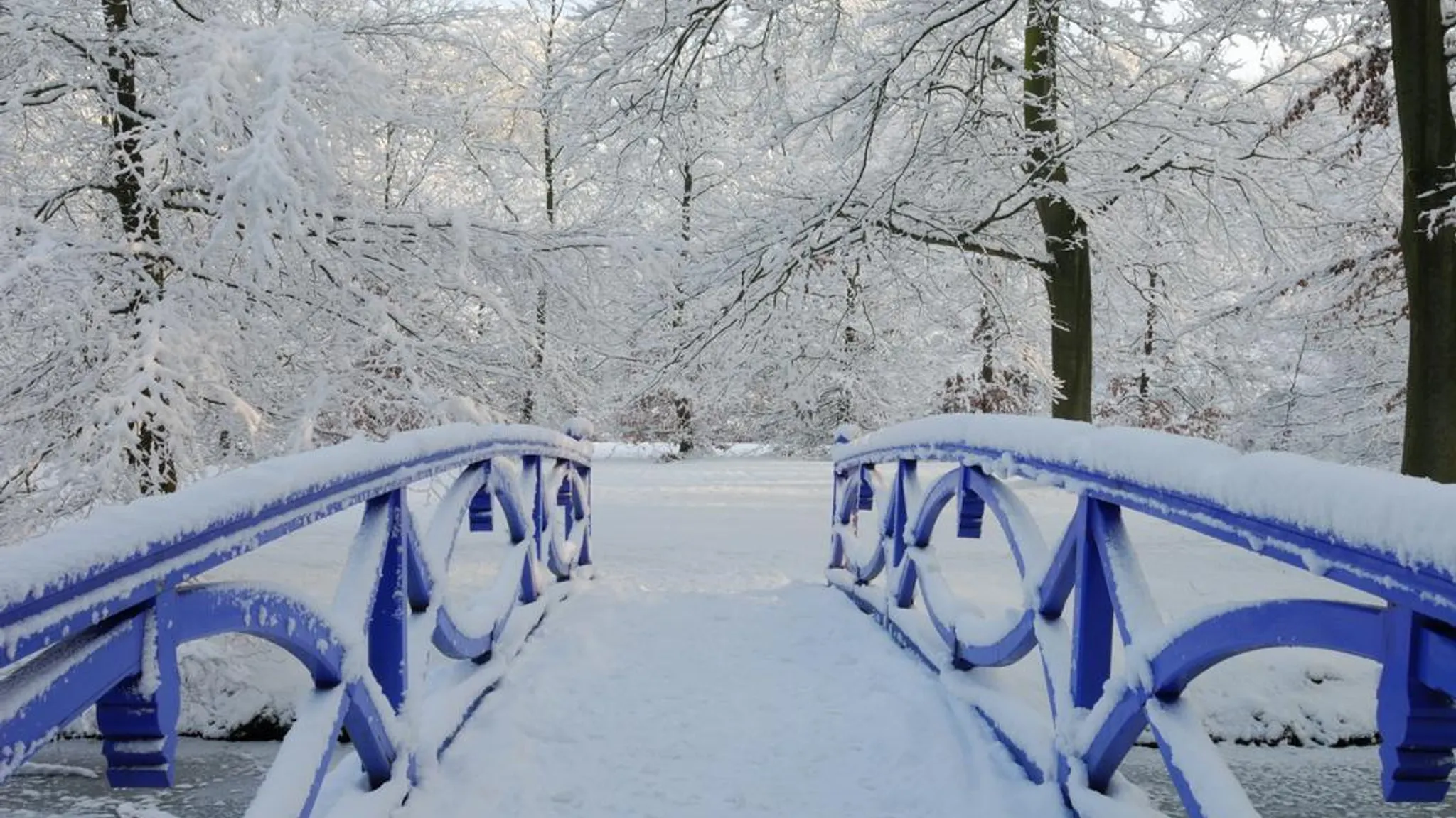 Warm Winter